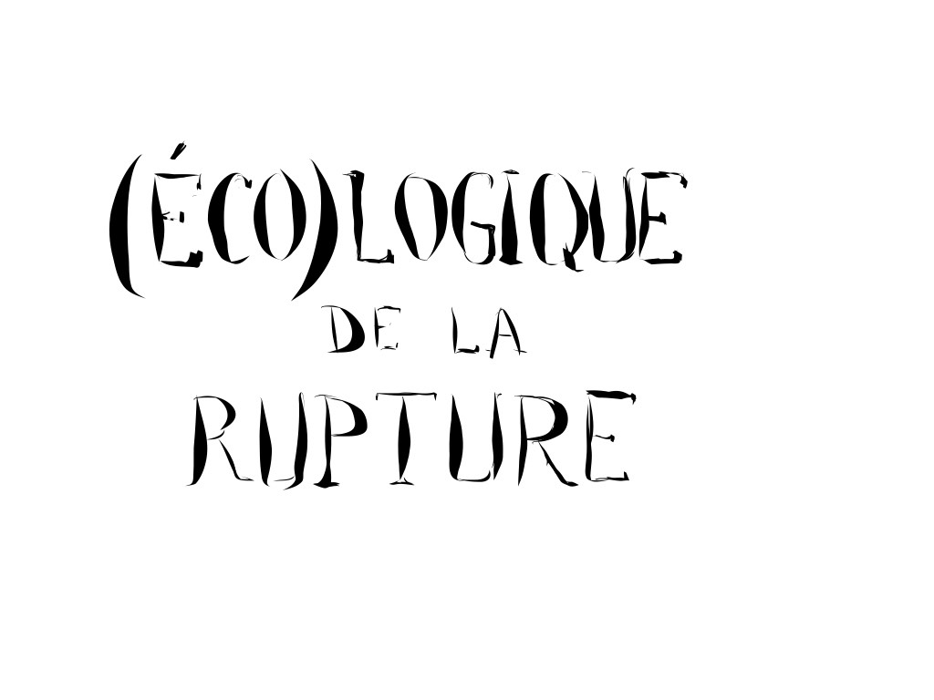 4 désamour fou . (éco)logique de la rupture