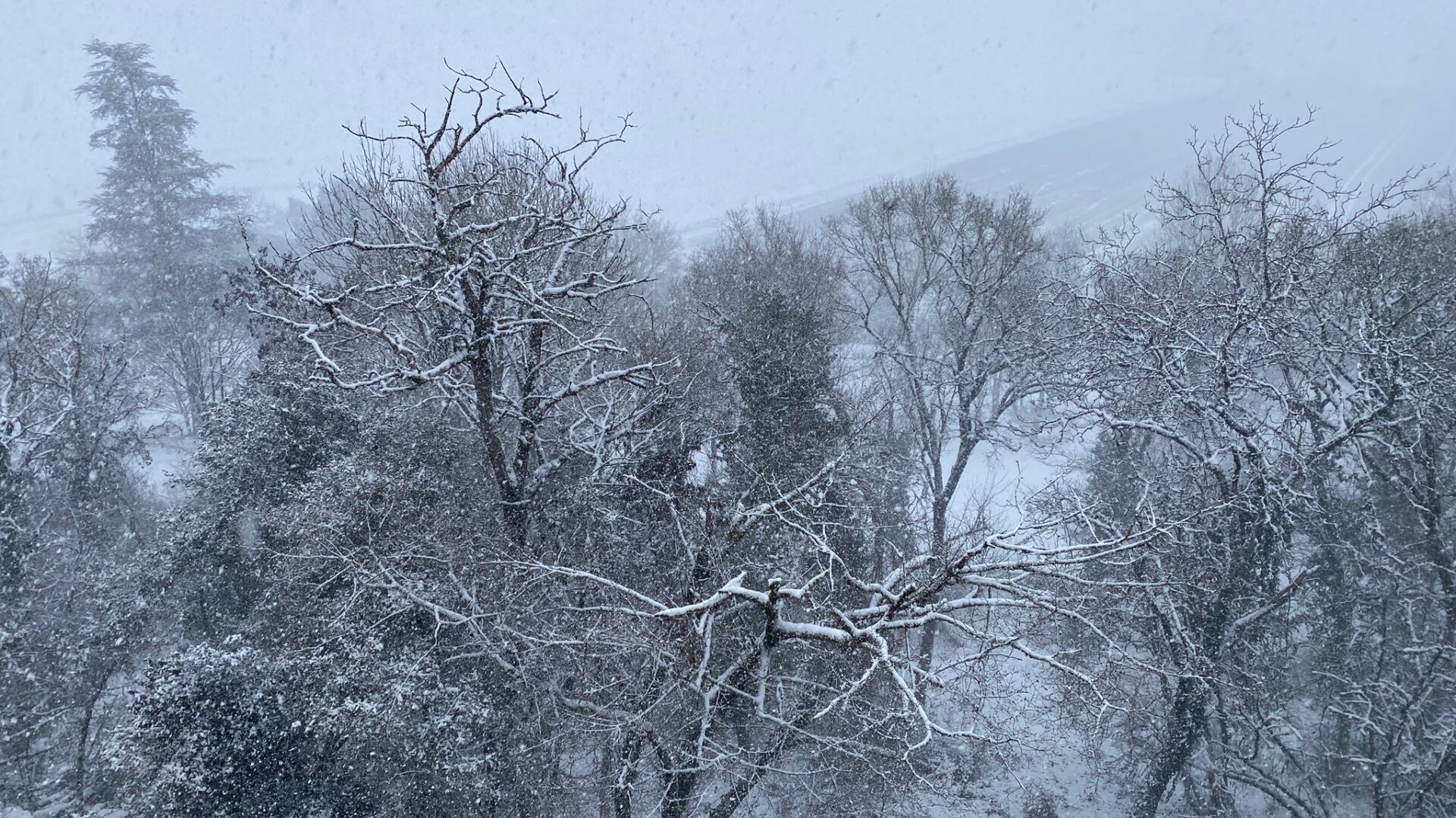 collectif . public averti